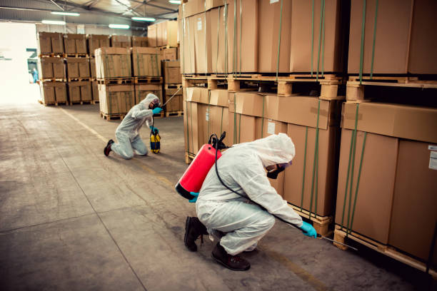 Best Rat Extermination Near Me  in Upper Arlington, OH