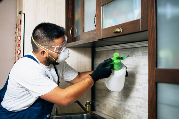 Best Exterminator Services  in Upper Arlington, OH