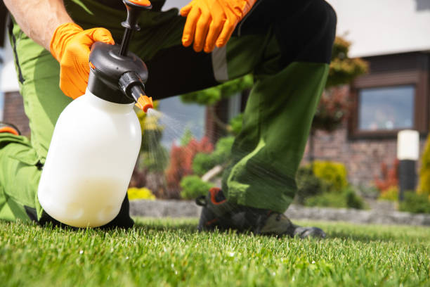 Best Spider Control Near Me  in Upper Arlington, OH