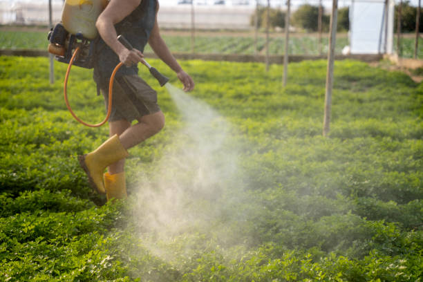 Best Residential Pest Control  in Upper Arlington, OH