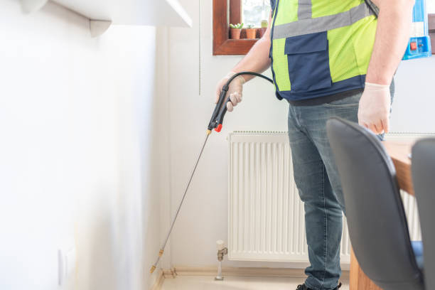 Best Flea Control Services  in Upper Arlington, OH