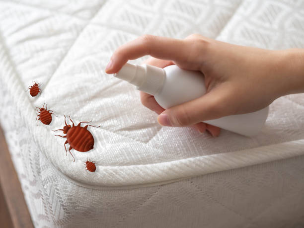 Best Best Pest Control Near Me  in Upper Arlington, OH