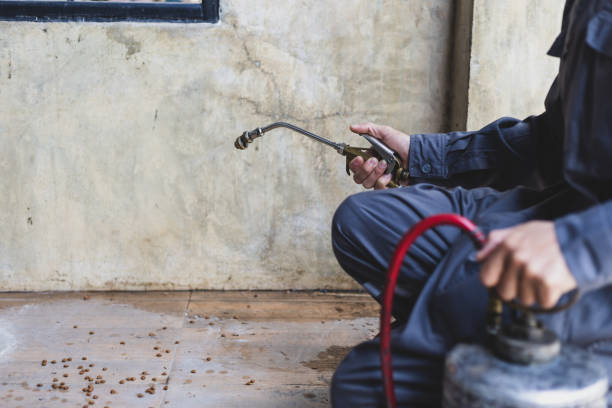 Best Best Pest Control Companies  in Upper Arlington, OH